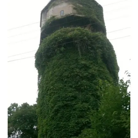 Lozenec 2,beautiful Location Апартаменты *