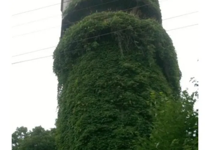 Lozenec 2,beautiful Location アパート *